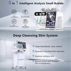 Professional 8 IN 1 Hydro Beauty Dermabrasion CE FCC Micro Bubble Best Acne Skin Care Hydro Facial Machine - Guangzhou Itech Aesthetics Co.,Ltd